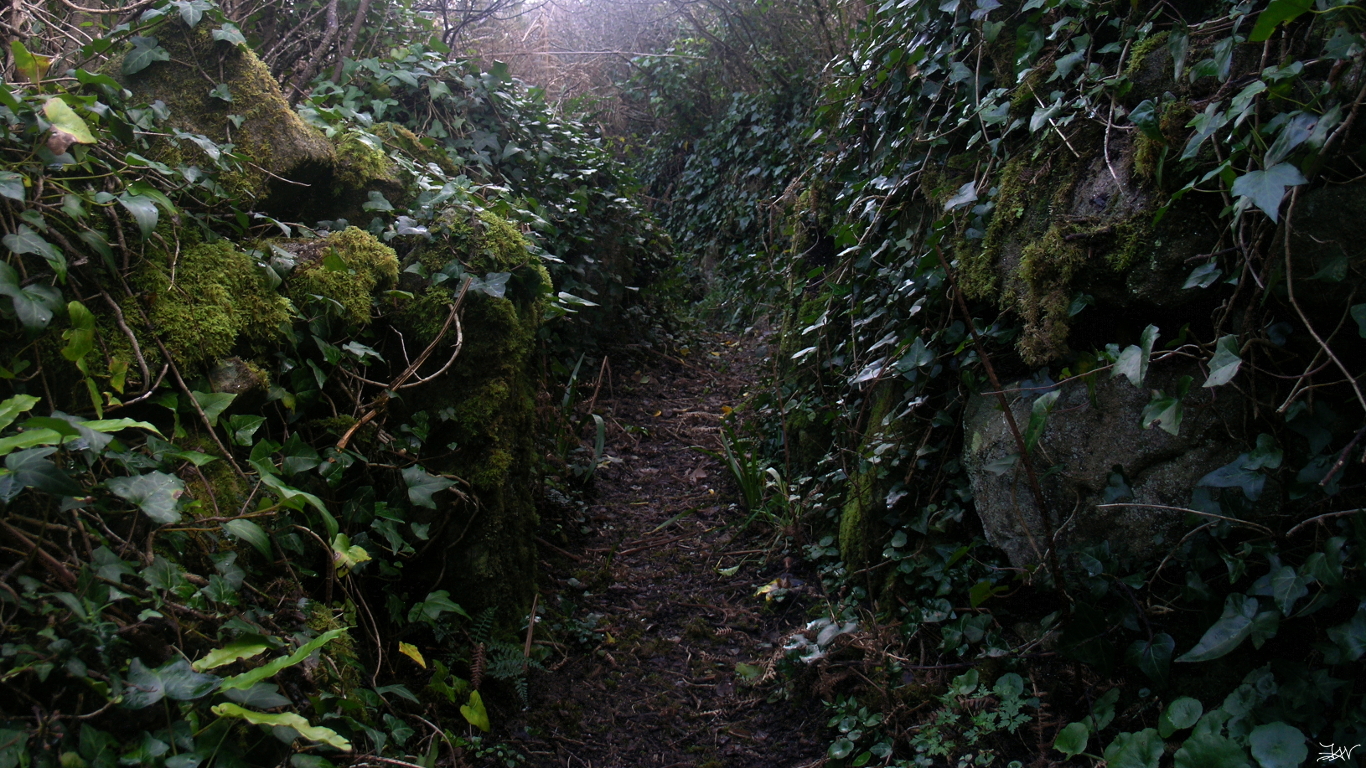 ../images/034-42 sentier obscur.JPG