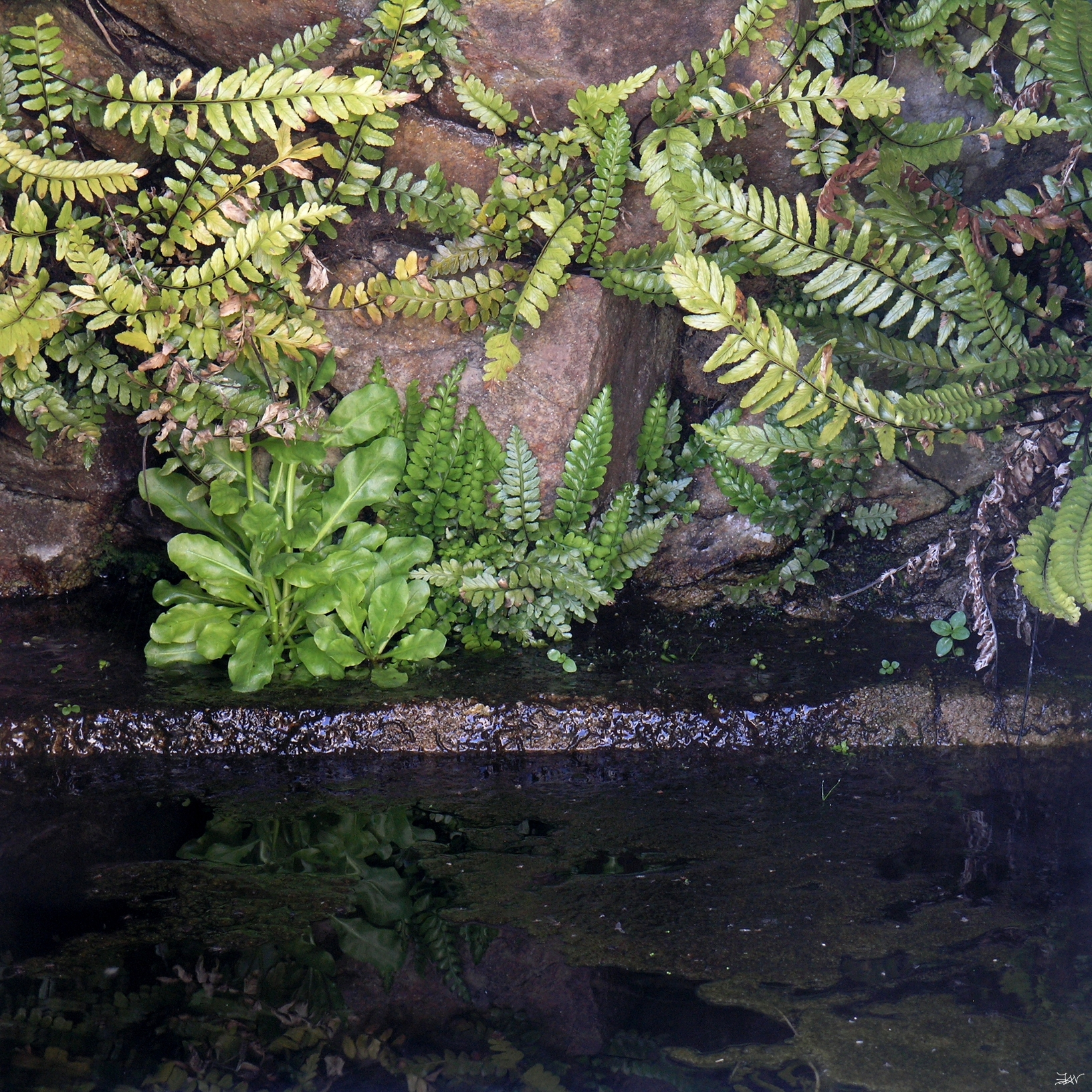 ../images/012-11 2018 04 30 lavoir 01.JPG