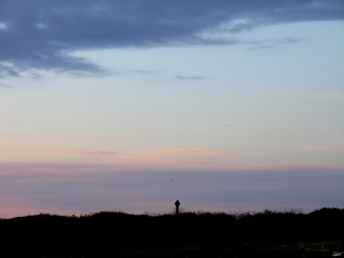 ../images/013-13 Sentinelle solitaire - Lonely sentinel.JPG