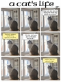 thumbnails/000-cat01.jpg.small.jpeg